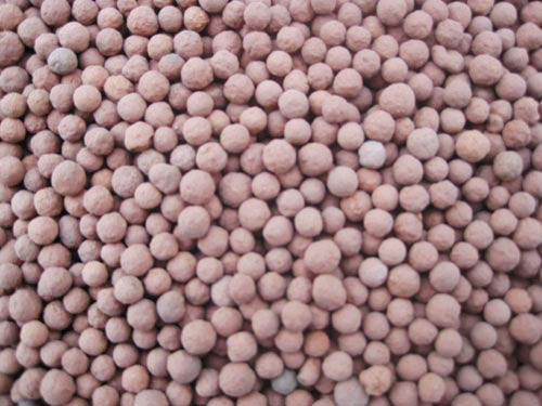 陶粒的適應(yīng)性強